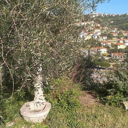 Casa Vacanze La Belle Σπίτι διακοπών Diano Castello